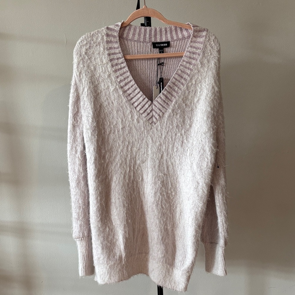 Express V-Neck Sweater in Light Purple
